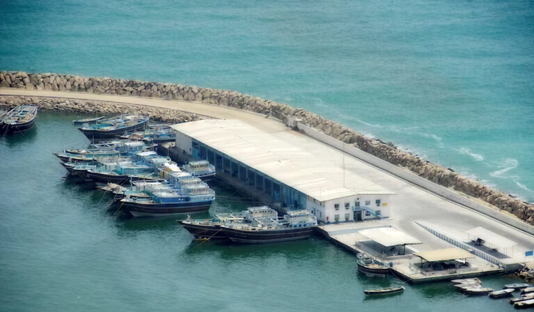 Company-managers-attend-specialized-coastal-and-port-engineering-meeting